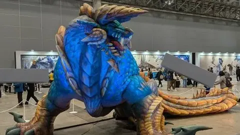 大乐透期号专家质合分析：前区十码胜负预测解读